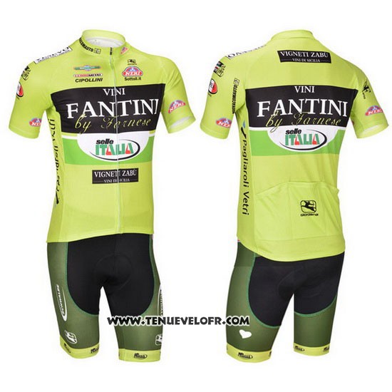 2013 Maillot Ciclismo Vini Fantini Vert et Noir Manches Courtes et Cuissard